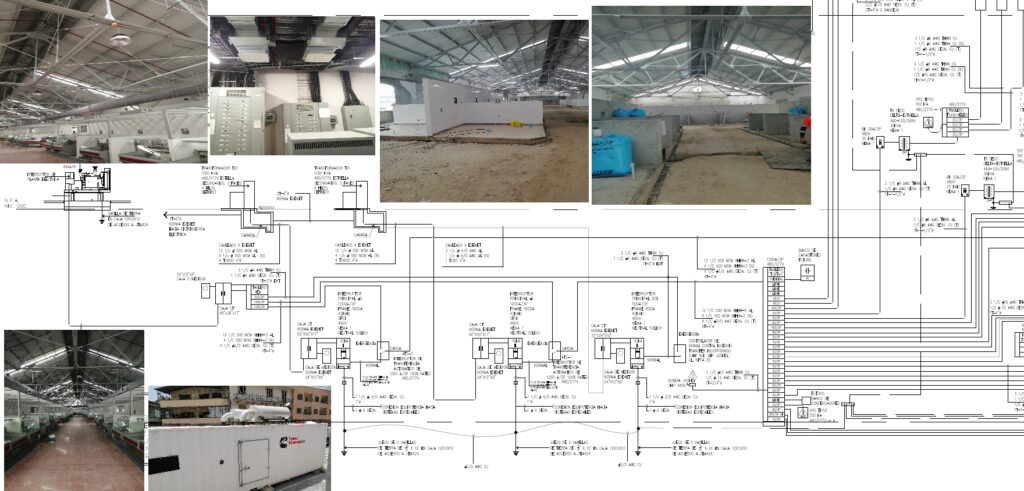 Mercado San Felipe Neri
